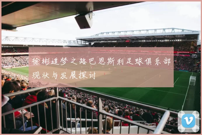 徐彬追梦之路巴恩斯利足球俱乐部现状与发展探讨